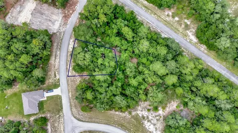 Willmington Drive, Ocala, FL 34473 photo 6