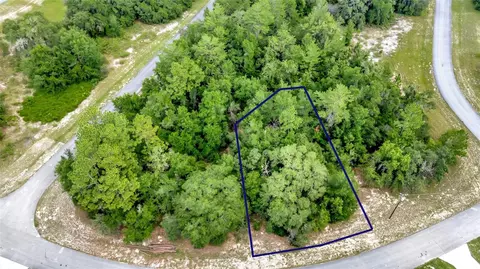 Willmington Drive, Ocala, FL 34473 photo 5