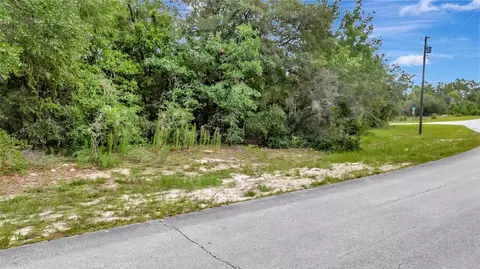 Willmington Drive, Ocala, FL 34473 photo 9