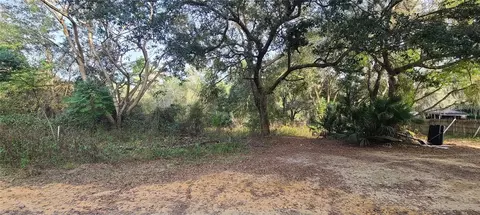 17205 SE 252nd Ave, Umatilla, FL 32784