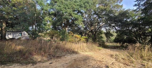 17105 SE 252nd Ave, Umatilla, FL 32784