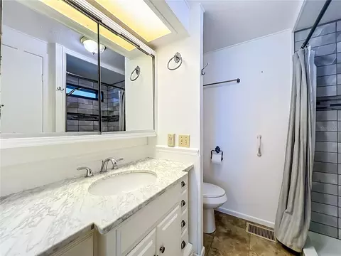 Bath - 1925 Brookside Dr, Mount Dora, FL 32757 photo 1 of 5