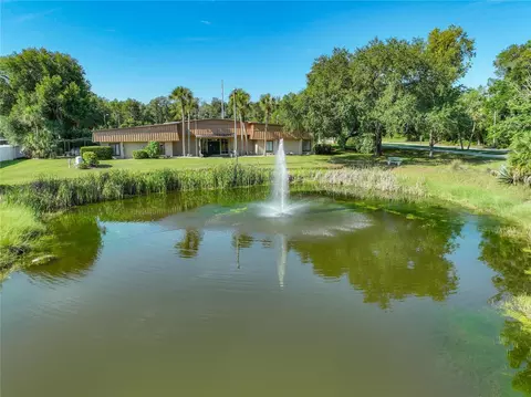 View/Area - 1925 Brookside Dr, Mount Dora, FL 32757 photo 3 of 8