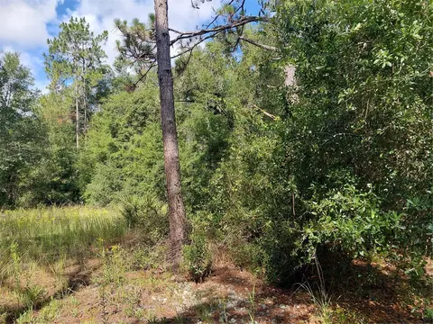 Pinon Drive, Webster, FL 33597 photo 13