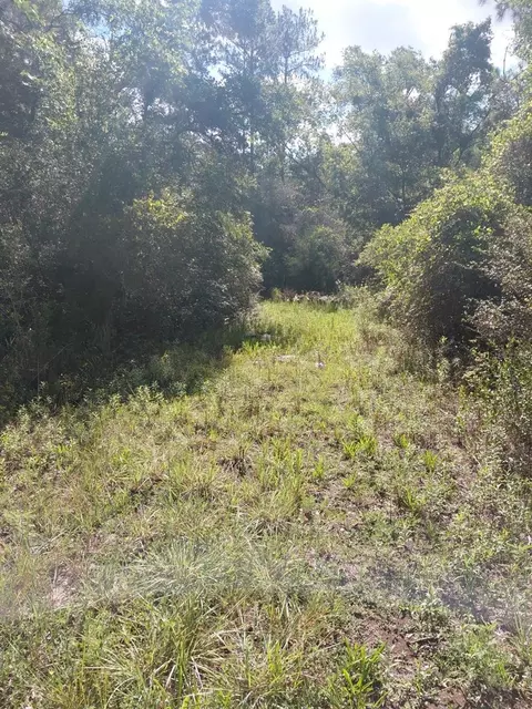 Pinon Drive, Webster, FL 33597 photo 2