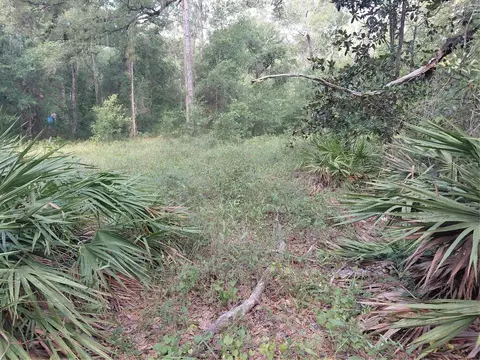Pinon Drive, Webster, FL 33597 photo 18