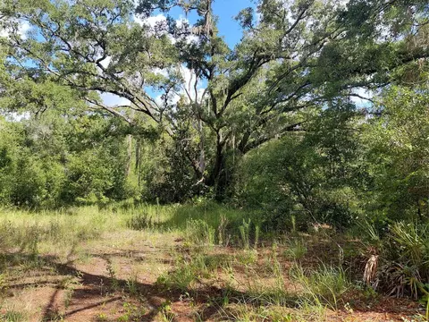 Pinon Drive, Webster, FL 33597 photo 5