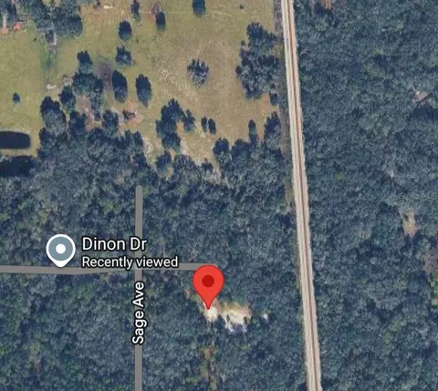 Pinon Drive, Webster, FL 33597 photo 11