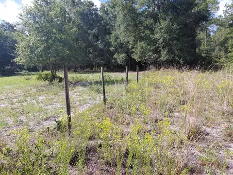 Pinon Drive, Webster, FL 33597 photo 16