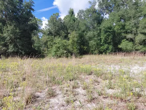 Pinon Drive, Webster, FL 33597 photo 17