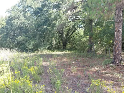 Pinon Drive, Webster, FL 33597 photo 15