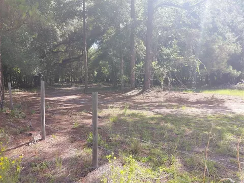 Pinon Drive, Webster, FL 33597 photo 14