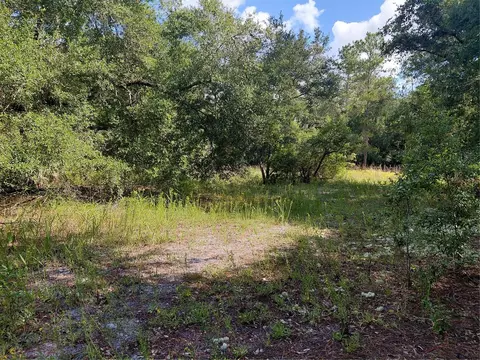 Pinon Drive, Webster, FL 33597 photo 8
