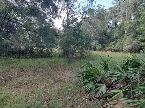 Pinon Drive, Webster, FL 33597 photo 7