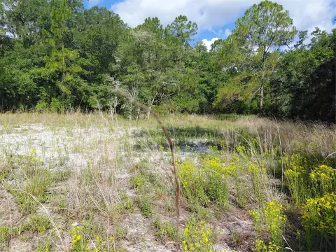 Pinon Drive, Webster, FL 33597 photo 6