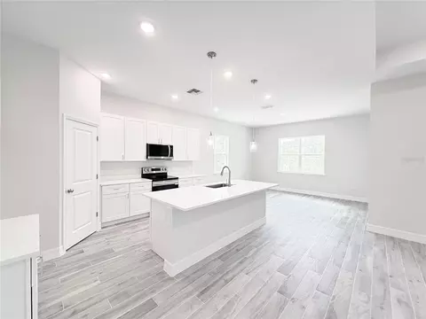 Kitchen - 30280 W Bluebell Ave, Eustis, FL 32736 photo 9 of 10