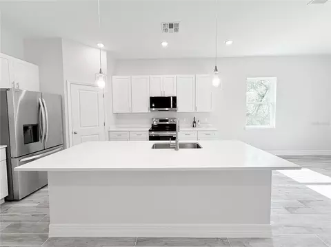 Kitchen - 30280 W Bluebell Ave, Eustis, FL 32736 photo 4 of 10