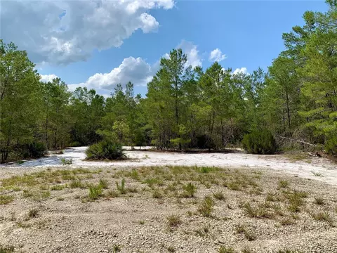 Other - 30280 W Bluebell Ave, Eustis, FL 32736 photo 12 of 13