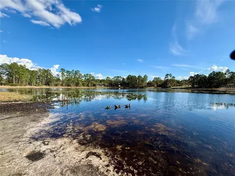 View/Area - 30280 W Bluebell Ave, Eustis, FL 32736 photo 2 of 4