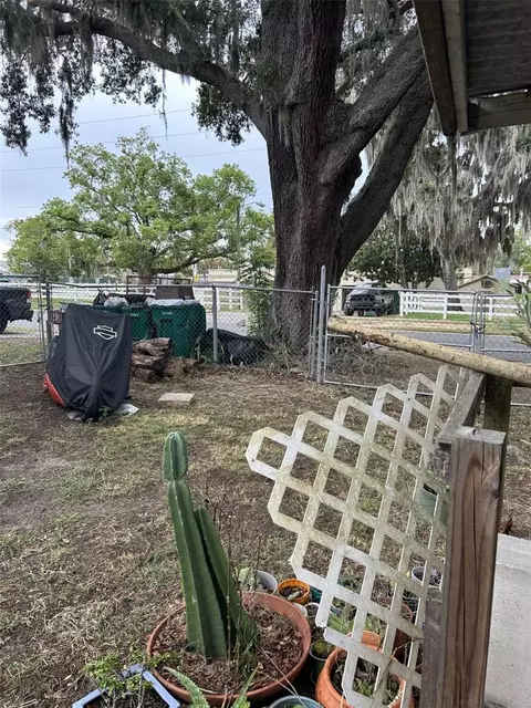 103 E Ward Ave, Eustis, FL 32726 photo 20