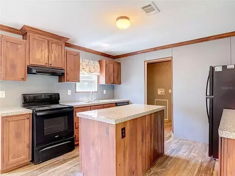 40628 Palm Dr, Eustis, FL 32736 photo 14