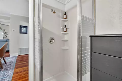 Bath - 418 E 10th Ave, Mount Dora, FL 32757 photo 2 of 4