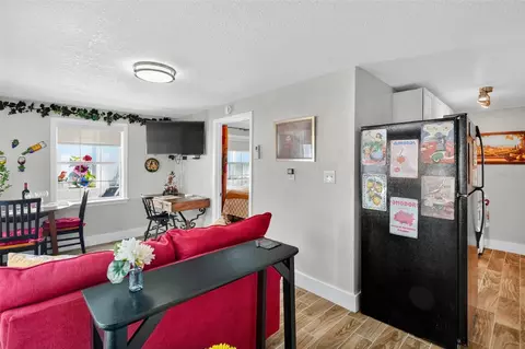 Living - 418 E 10th Ave, Mount Dora, FL 32757 photo 6 of 7
