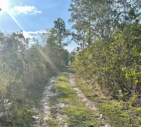 Concord Road, Saint Cloud, FL 34773 photo 2