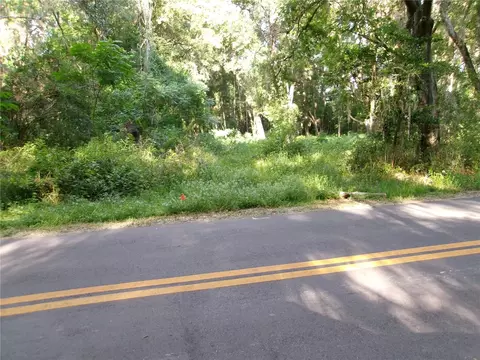 St Clair Street, Wildwood, FL 34785