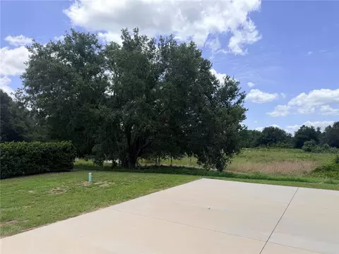 4879 SE 92nd Blvd, Webster, FL 33597 photo 8
