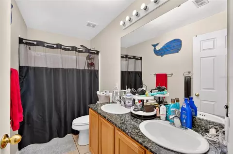 Bath - 600 Briarcliff Rd, Eustis, FL 32726 photo 4 of 4
