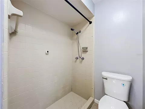 Bath - 300 Pinecrest Rd, Mount Dora, FL 32757 photo 10 of 12