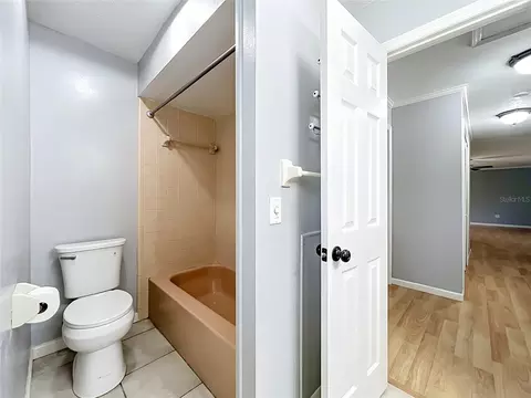 Bath - 300 Pinecrest Rd, Mount Dora, FL 32757 photo 11 of 12