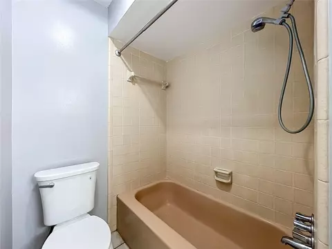 Bath - 300 Pinecrest Rd, Mount Dora, FL 32757 photo 12 of 12