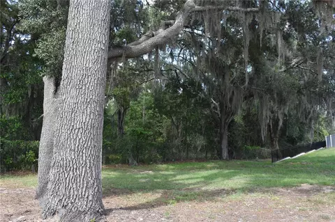 31328 Sand Lake Dr, Mount Dora, FL 32757 photo 9