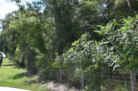 31328 Sand Lake Dr, Mount Dora, FL 32757 photo 8