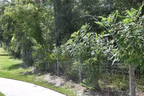 31328 Sand Lake Dr, Mount Dora, FL 32757 photo 7