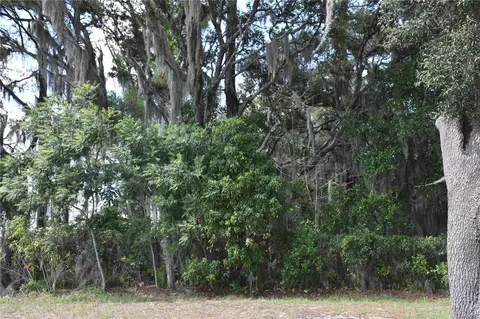 31328 Sand Lake Dr, Mount Dora, FL 32757 photo 11