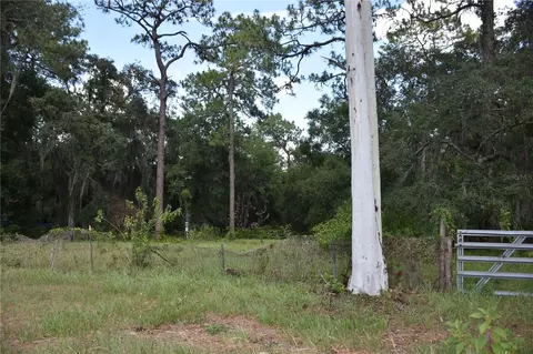 31328 Sand Lake Dr, Mount Dora, FL 32757 photo 3