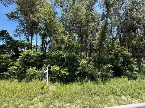 lot13 State Road 44, Eustis, FL 32726 photo 6