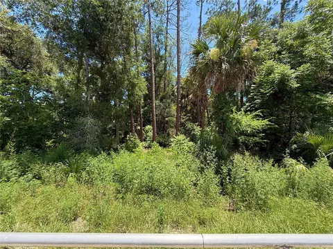 lot13 State Road 44, Eustis, FL 32726 photo 8