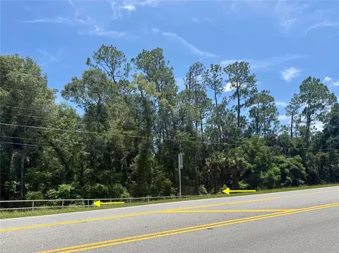 lot13 State Road 44, Eustis, FL 32726 photo 3