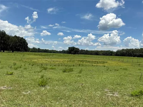 Cr 755, Webster, FL 33597 photo 14