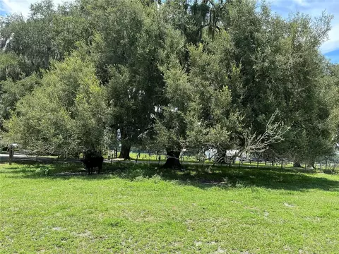 Cr 755, Webster, FL 33597 photo 19
