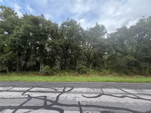 3913 N Eisenhower Ave, Hernando, FL 34442 photo 2