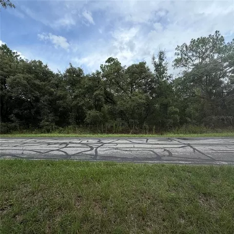 3913 N Eisenhower Ave, Hernando, FL 34442 photo 5