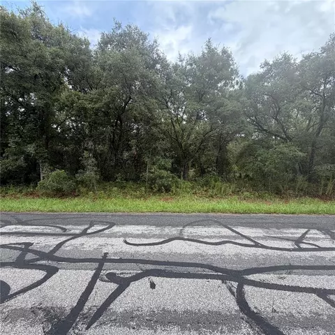3913 N Eisenhower Ave, Hernando, FL 34442 photo 4