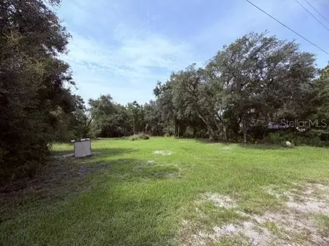 35356 Kramer St, Webster, FL 33597 photo 4