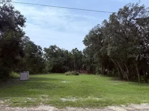 35356 Kramer St, Webster, FL 33597 photo 2
