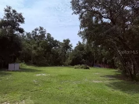 35356 Kramer St, Webster, FL 33597 photo 3